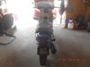 Picture of HONDA EX5 DREAM 110(SELF)