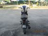 Picture of SYM SPORT BONUS 115 / SR 00115 CC
