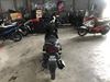 Picture of YAMAHA EGO SOLARIZ