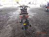Picture of NIMOTA LC125 00125 CC