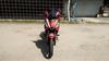 Picture of HONDA RS150R C.S.RED/P.N.BLUE (FS150FJ)