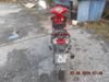 Picture of MODENAS CT115S 00115 CC