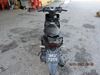 Picture of YAMAHA EGO SOLARIZ 00125 CC