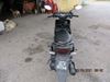 Picture of YAMAHA EGO SOLARIZ 00125 CC
