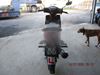 Picture of HONDA WAVE ALPHA (SELF/DISK/CAST) AFS110MCSG/H/J/L